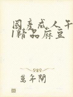 国产成人午夜91精品麻豆