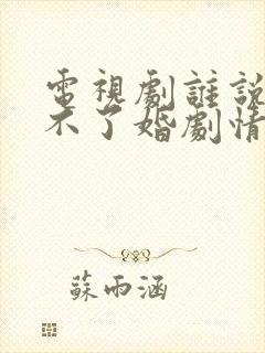 电视剧谁说我结不了婚剧情介绍