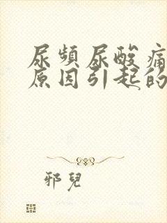 尿频尿酸痛什么原因引起的