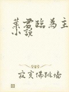 叶君临为主角的小说封面