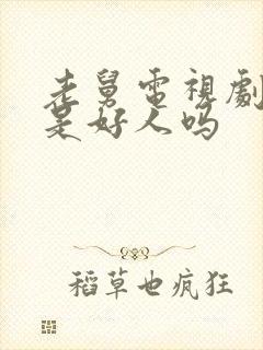 老舅电视剧二美是好人吗