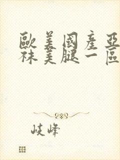 欧美国产亚洲丝袜美腿一区