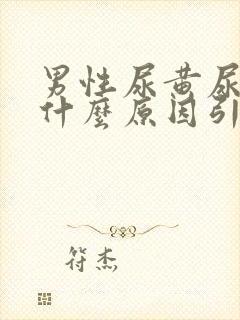 男性尿黄尿臭是什么原因引起的