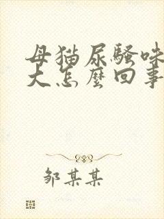 母猫尿骚味特别大怎么回事