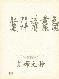 肛门流黄色液体是什么原因封面