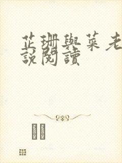 芷珊与菜老板小说阅读