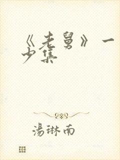 《老舅》一共多少集