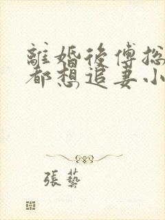 离婚后傅总每天都想追妻小说免费阅读