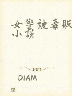 女警被毒贩调教小说