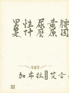 男性尿黄腰酸疼是什么原因引起的