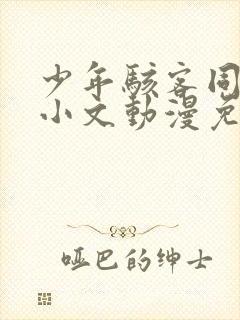少年骇客同人田小文动漫免费观看