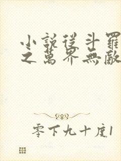 小说从斗罗开始之万界无敌