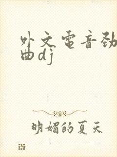 外文电音劲爆嗨曲dj