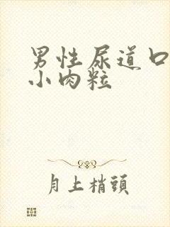 男性尿道口上有小肉粒封面