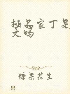 极品家丁是后宫文吗