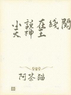 小说在线阅读霸天神王封面