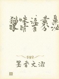 猫咪流黄鼻涕,眼睛有分泌物封面