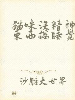 猫咪没精神不吃东西总睡觉还呕吐封面