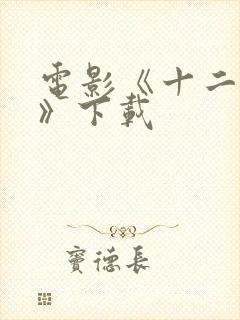 电影《十二公民》下载