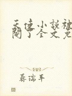 天使小说被女王阉了全文免费阅读