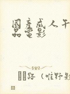 国产成人午夜精品电影