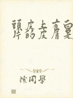 头皮上有白色大片的皮屑是怎么回事