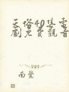 天俗40集电视剧免费观看封面