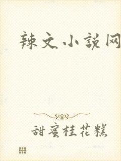 辣文小说网封面