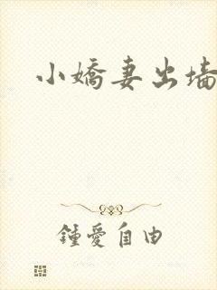 小娇妻出墙记封面