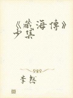 《藏海传》共多少集