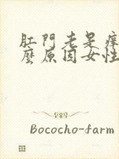 肛门老是痒是什么原因女性