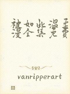 被如此温柔的动漫全集免费观看