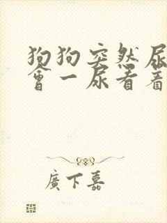 狗狗突然尿频一会一尿看着有点焦虑