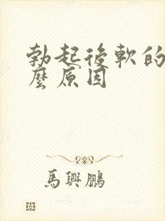 勃起后软的快什么原因封面