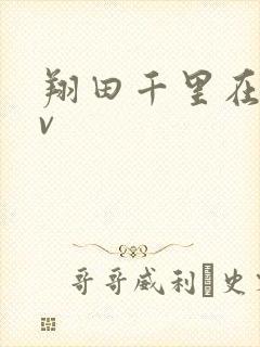 翔田千里在线av封面