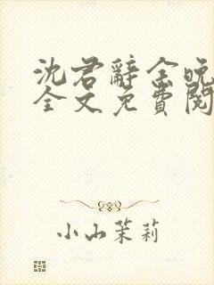 沈君辞余晚小说全文免费阅读