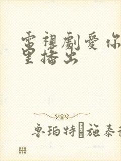 电视剧爱你在哪里播出