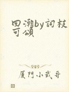 回潮by词枝陈可颂封面