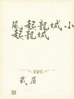 风起龙城小说风起龙城
