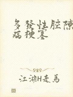 多发性腔隙性脑病梗塞