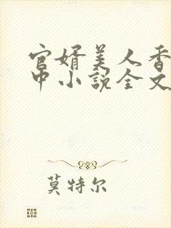 官婿美人香刘志中小说全文免费阅读封面