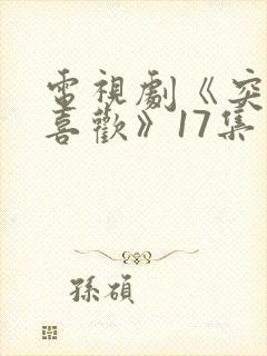 电视剧《突然的喜欢》17集封面