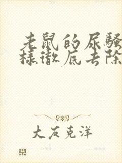 老鼠的尿骚味怎样彻底去除