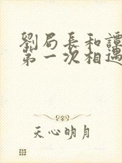 刘局长和谭靖的第一次相遇小说,上流封面