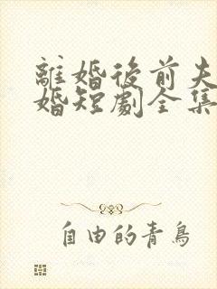 离婚后前夫求复婚短剧全集