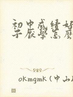 初中成绩好的孩子厌学怎么办