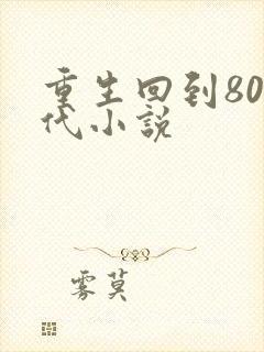 重生回到80年代小说
