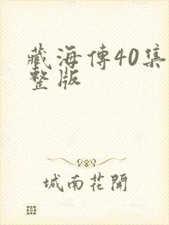 藏海传40集完整版封面