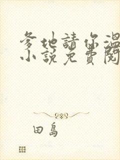 爹地请你温柔点小说免费阅读