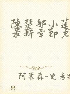 陈楚那小莲小说最新章节免费阅读